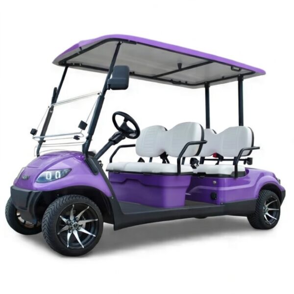 4 Passenger LSV Golf Cart